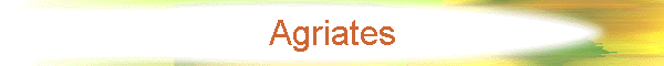 Agriates