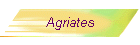 Agriates